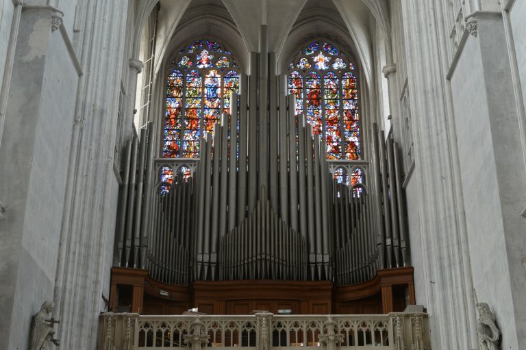 orgel kopen